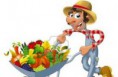/album/frutas-y-verduras1/frutas-y-verduras-jpg/